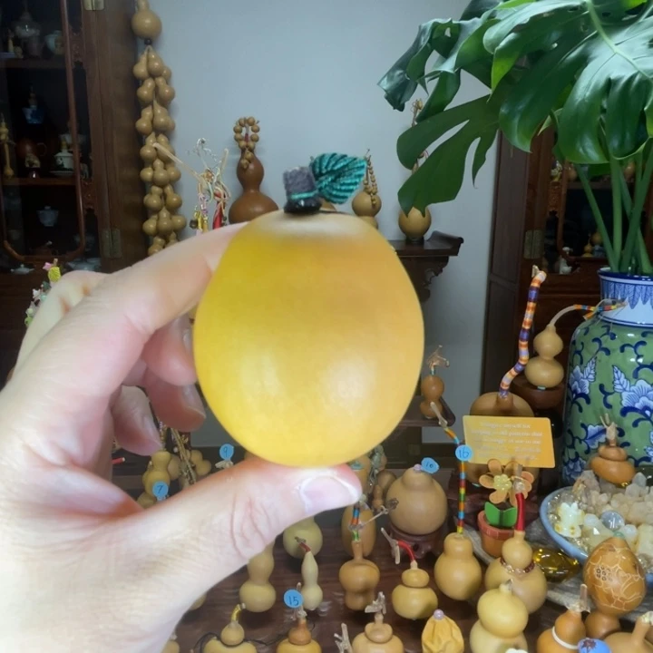 细奶皮满籽葫芦微抽