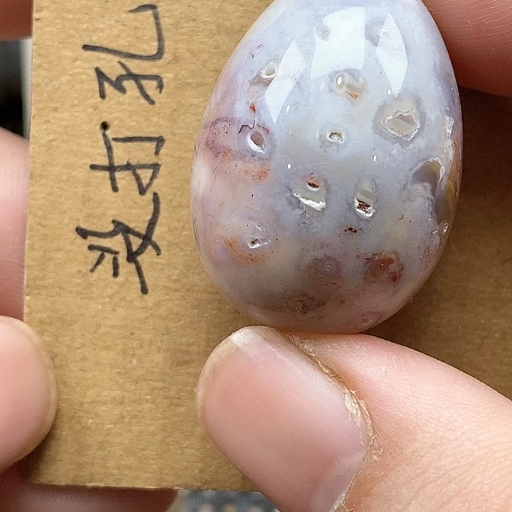 颈饰未镶嵌硅化珊瑚（珊瑚玉）