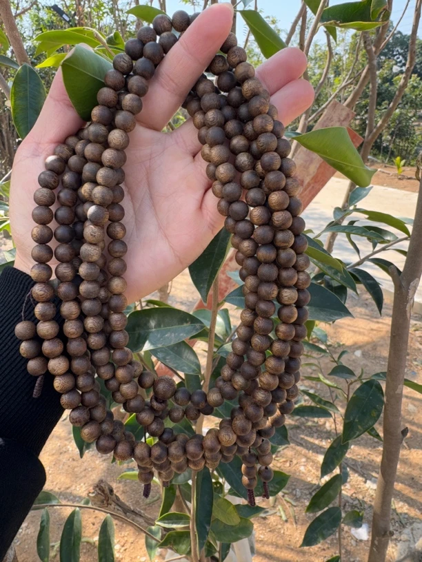 奇楠沉香多样性发1 圆珠0.8多圈