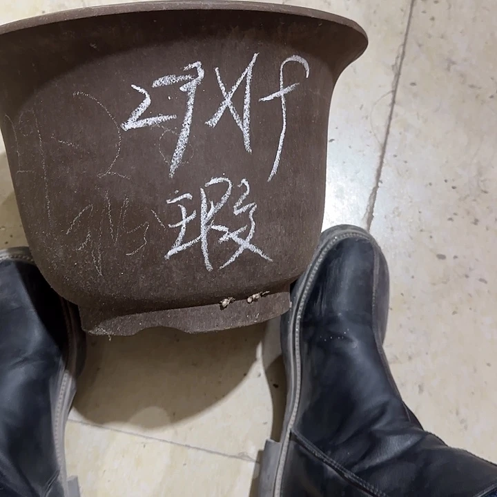 紫砂花盆破损包赔