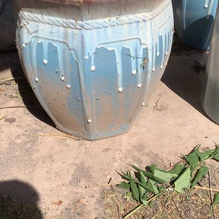 兰**花盆里的花都谢啦啊我也