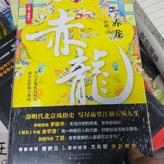 赤龙赤龙赤龙，书名就叫赤龙。