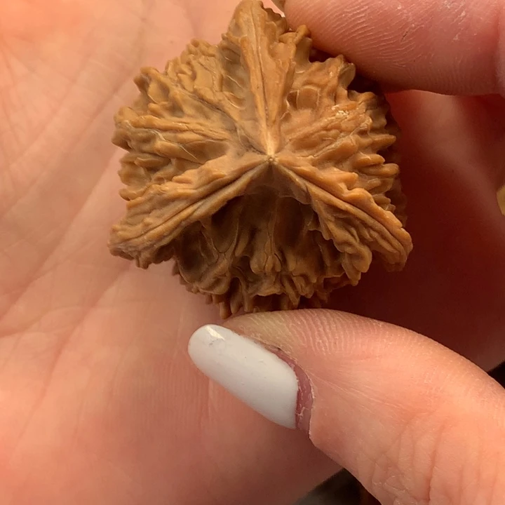 是***辰文玩核桃吊坠异形单只