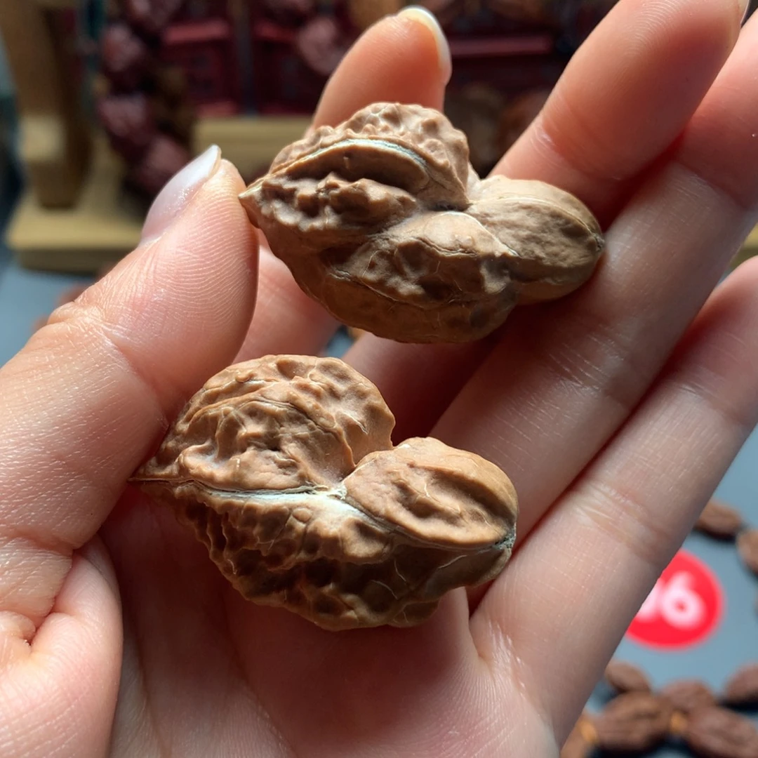 核桃14小鸟异型两个