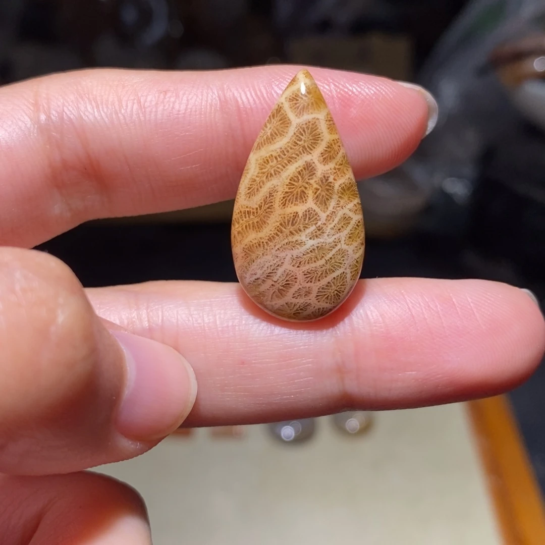 【闪购商品】硅化玉珊瑚玉未镶嵌