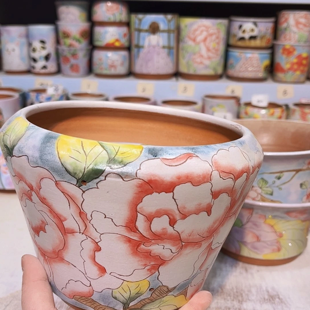 所见所得一物一拍花盆多肉植物手绘盆3