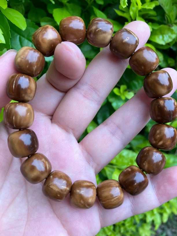 10*11mm库克单圈老型