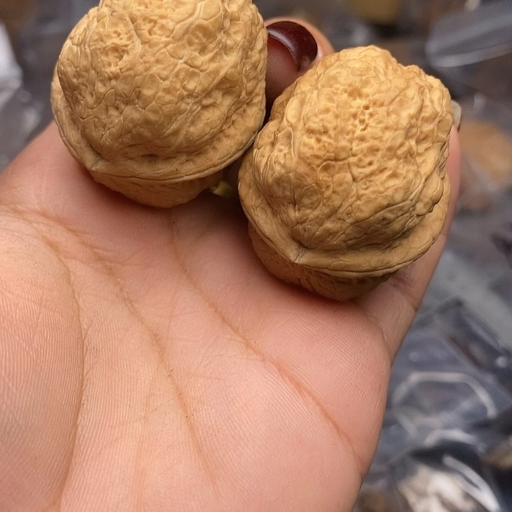 吊坠文玩核桃70号37mm