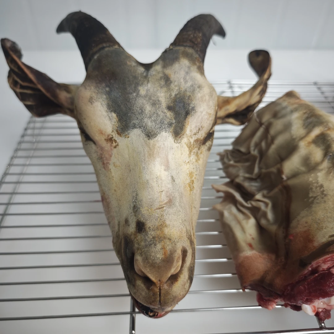 （正宗本地土货）一物一拍，四斤包邮不支持退货退款