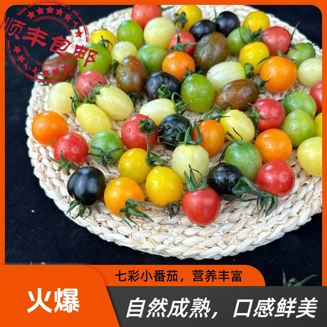 【顺丰包邮】山东无公害新品7种随机发新鲜小番茄圣女果现摘现发