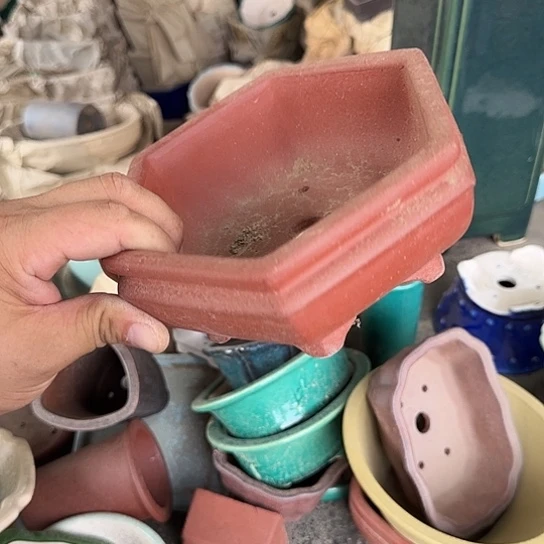 是一个集休闲农业的休闲胜地