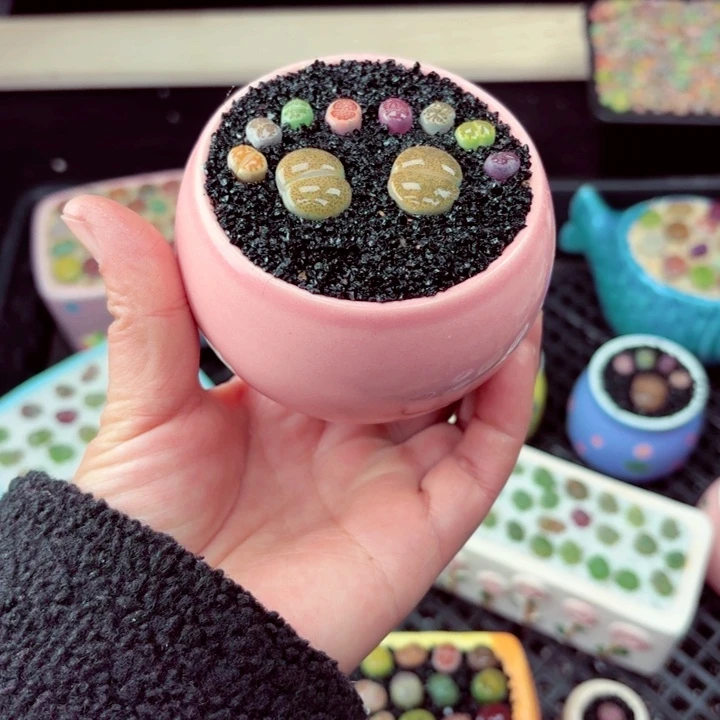 853零下地区记得拍保温箱满18包邮