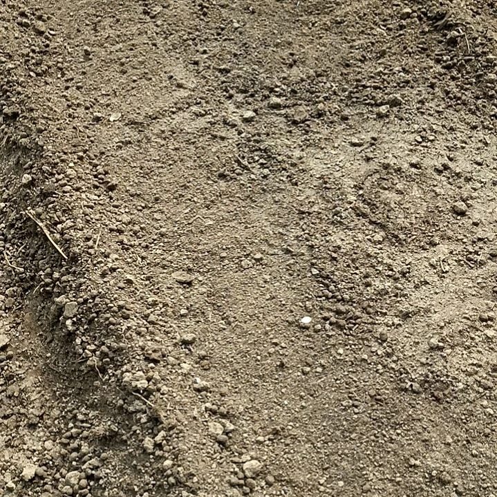 完全开放ꫛ****࿐令箭何花叶片肥一组