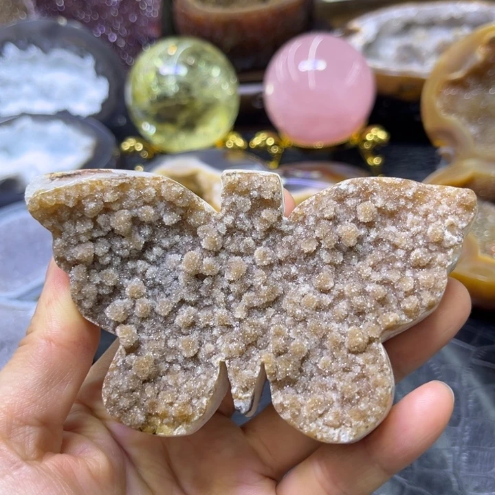 未镶嵌发饰水晶黄软蝴蝶