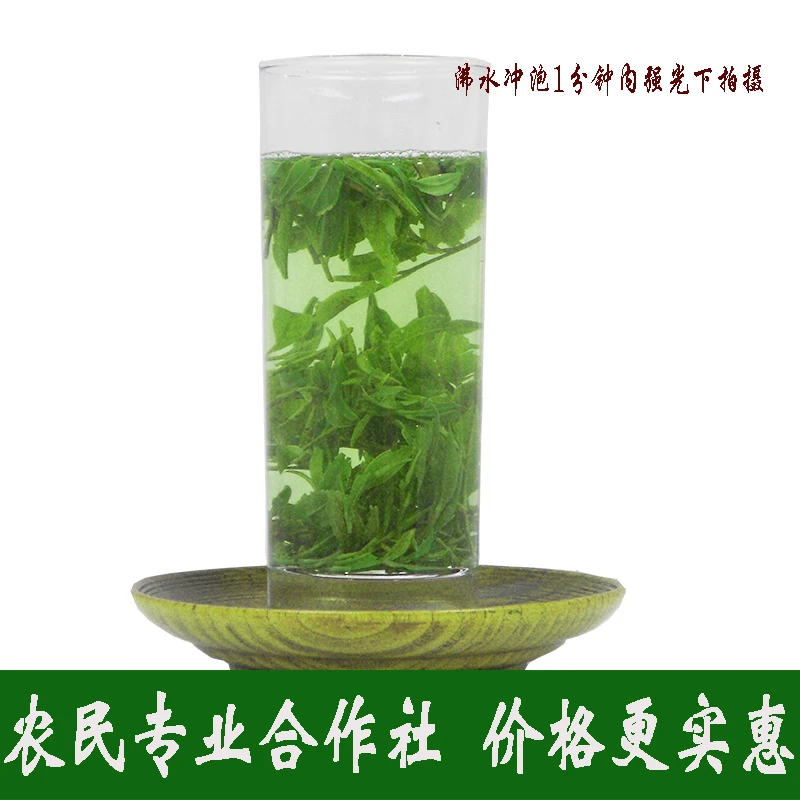 50克绿茶2025年新茶绿杨春聚源春茶叶江苏扬州人自己喝的茶叶好