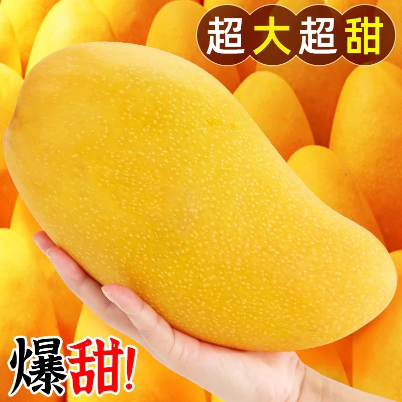 【爆甜】海南金煌芒三亚水仙芒果新鲜孕妇水果当季大芒果5斤