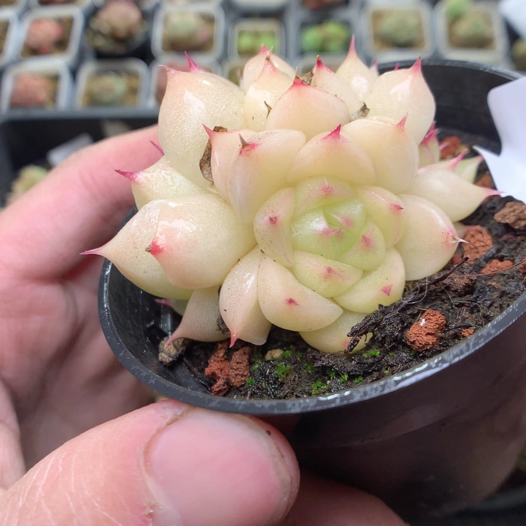 V30y y y y y y y y y