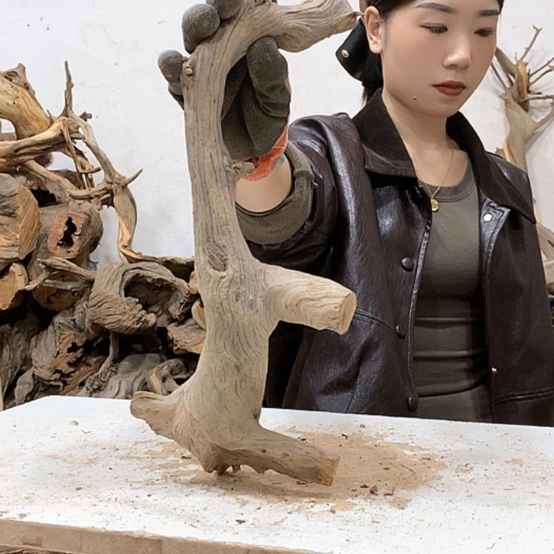 【闪购商品】柏木老*我们都是好孩子