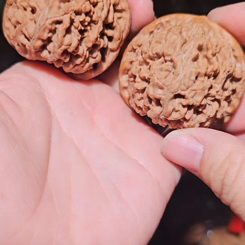 文玩核桃吊坠48.5粗筋