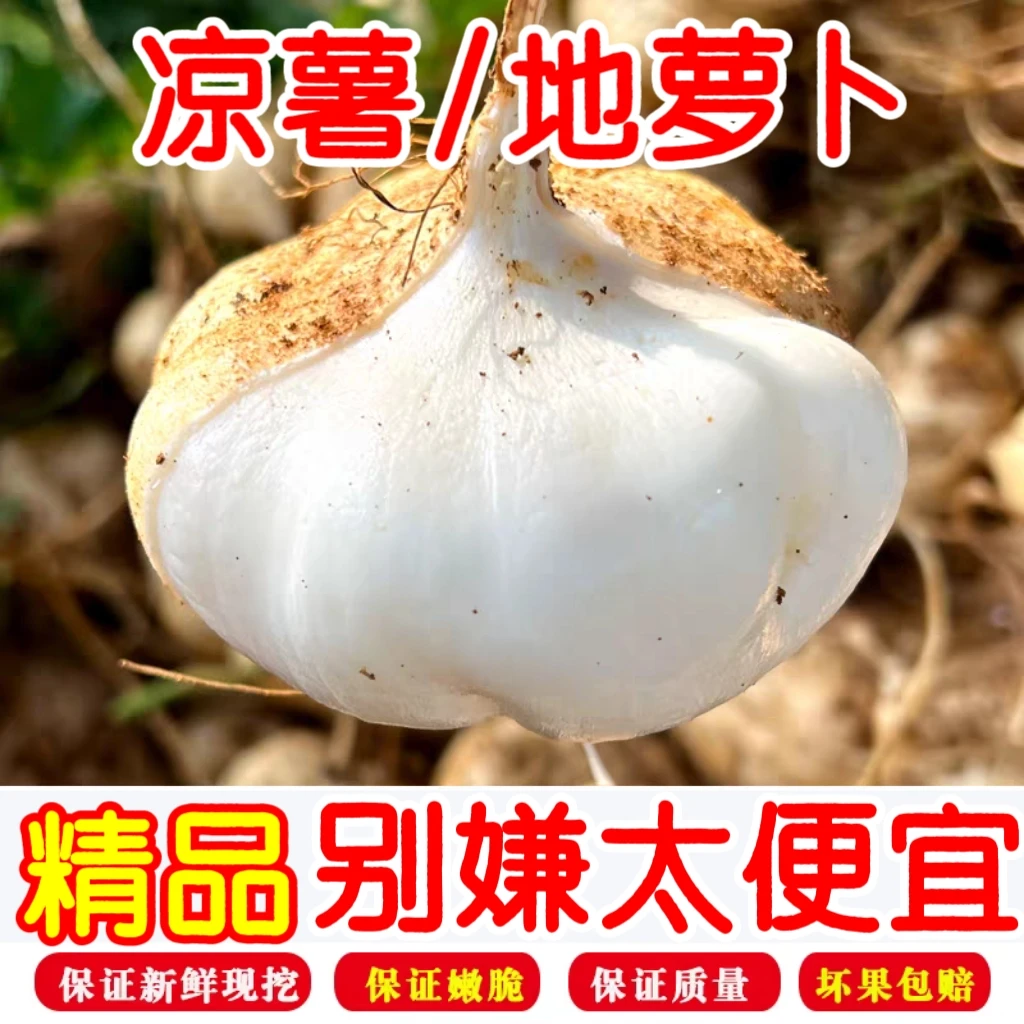 正宗贵州地瓜新鲜现挖凉薯土地瓜豆薯红薯番薯当季蔬菜正宗无添加
