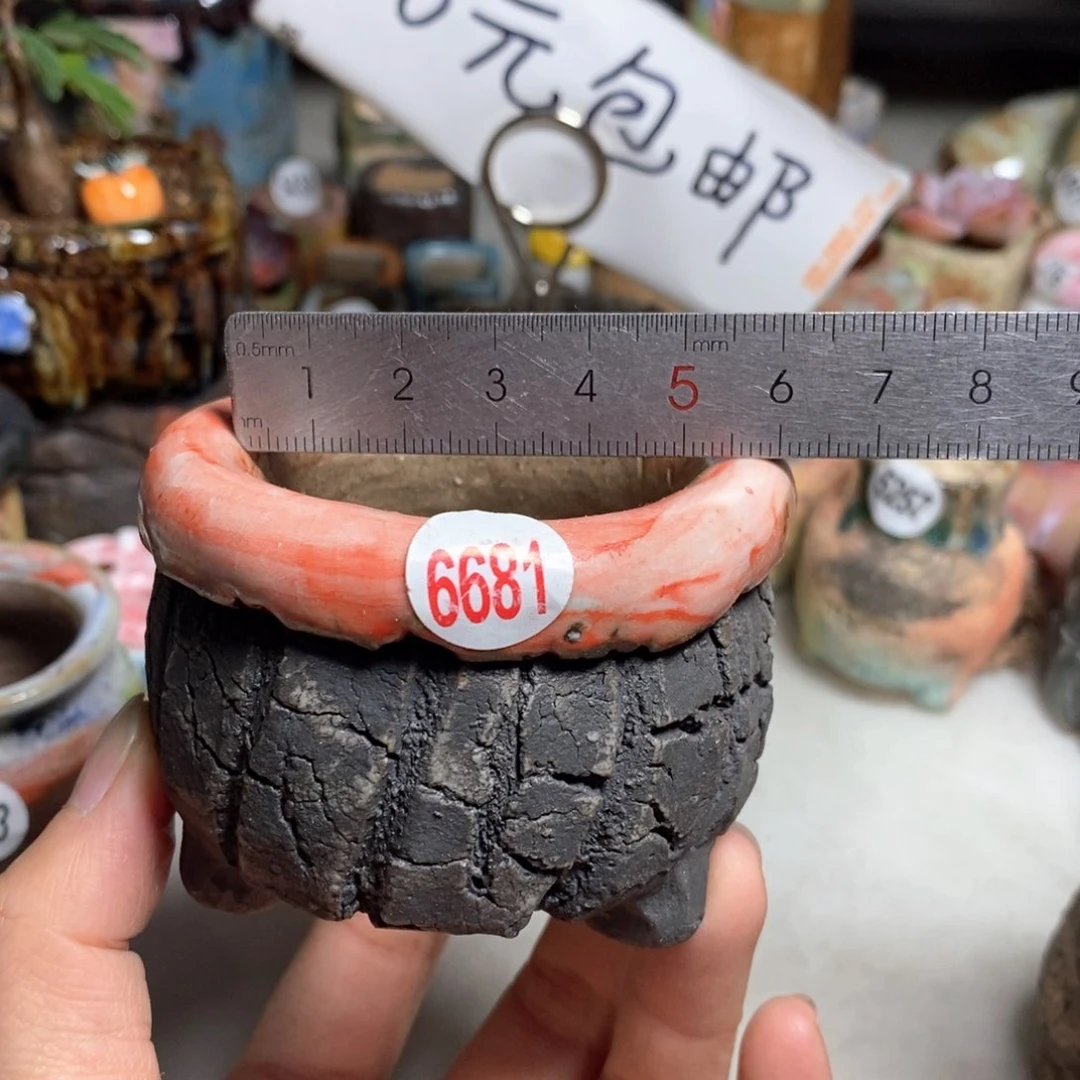 双十一福利款不退不换，原28元一个