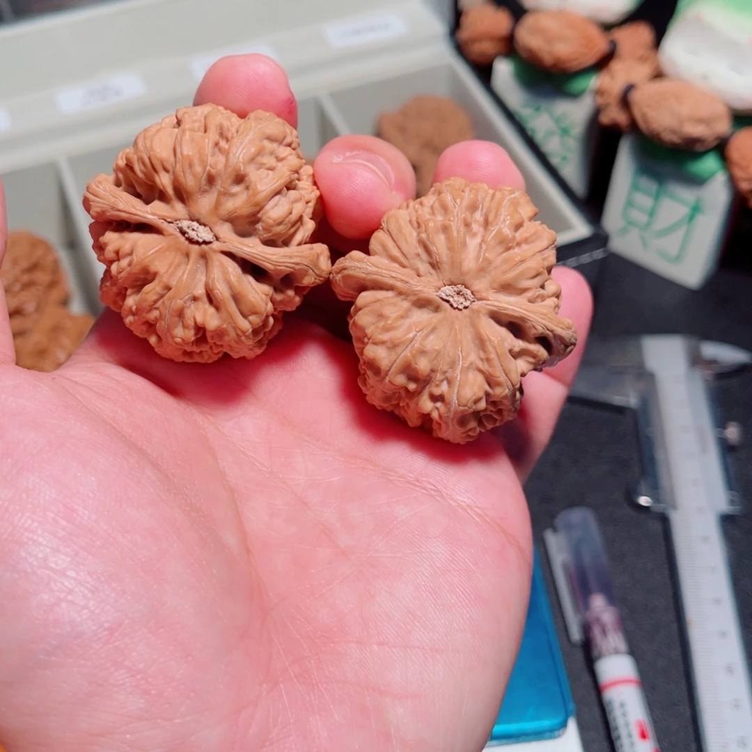 43粗筋尖有修处理价