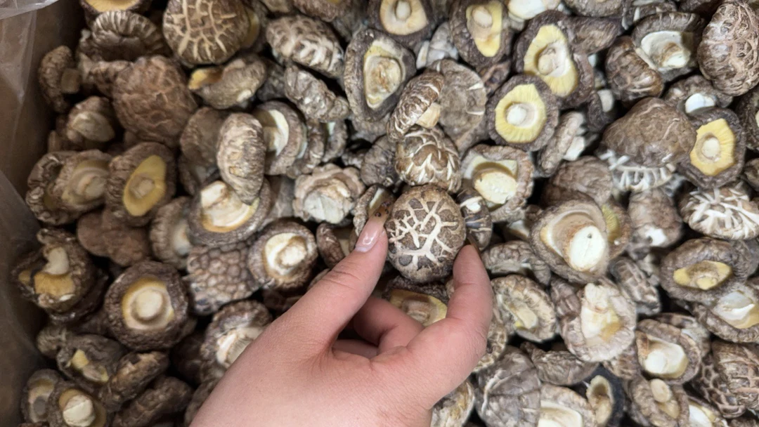 灿仔推荐香菇500g花菇 椴木香菇