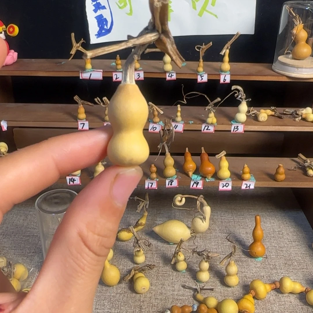 拨***日打孔不退不换！秒拍秒退拉黑！