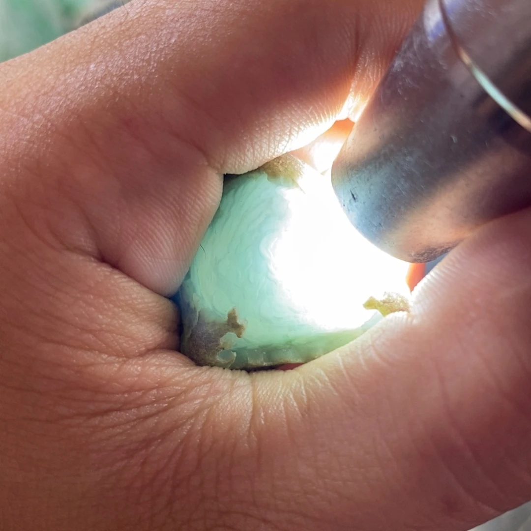 翡翠未镶嵌挂件挂件