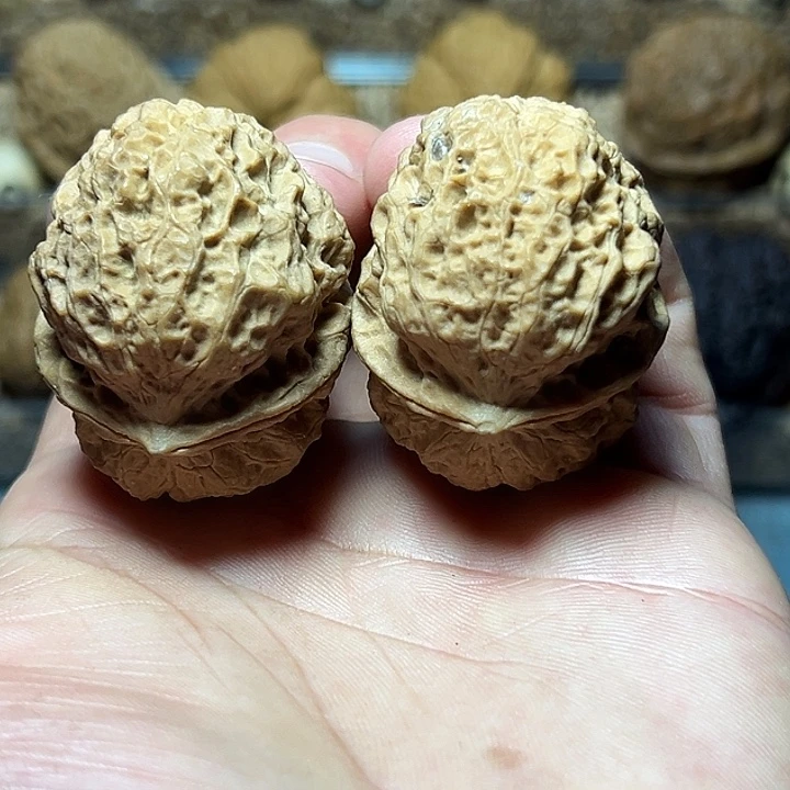 把件文玩核桃34号凹底蟾型珊瑚纹43尺