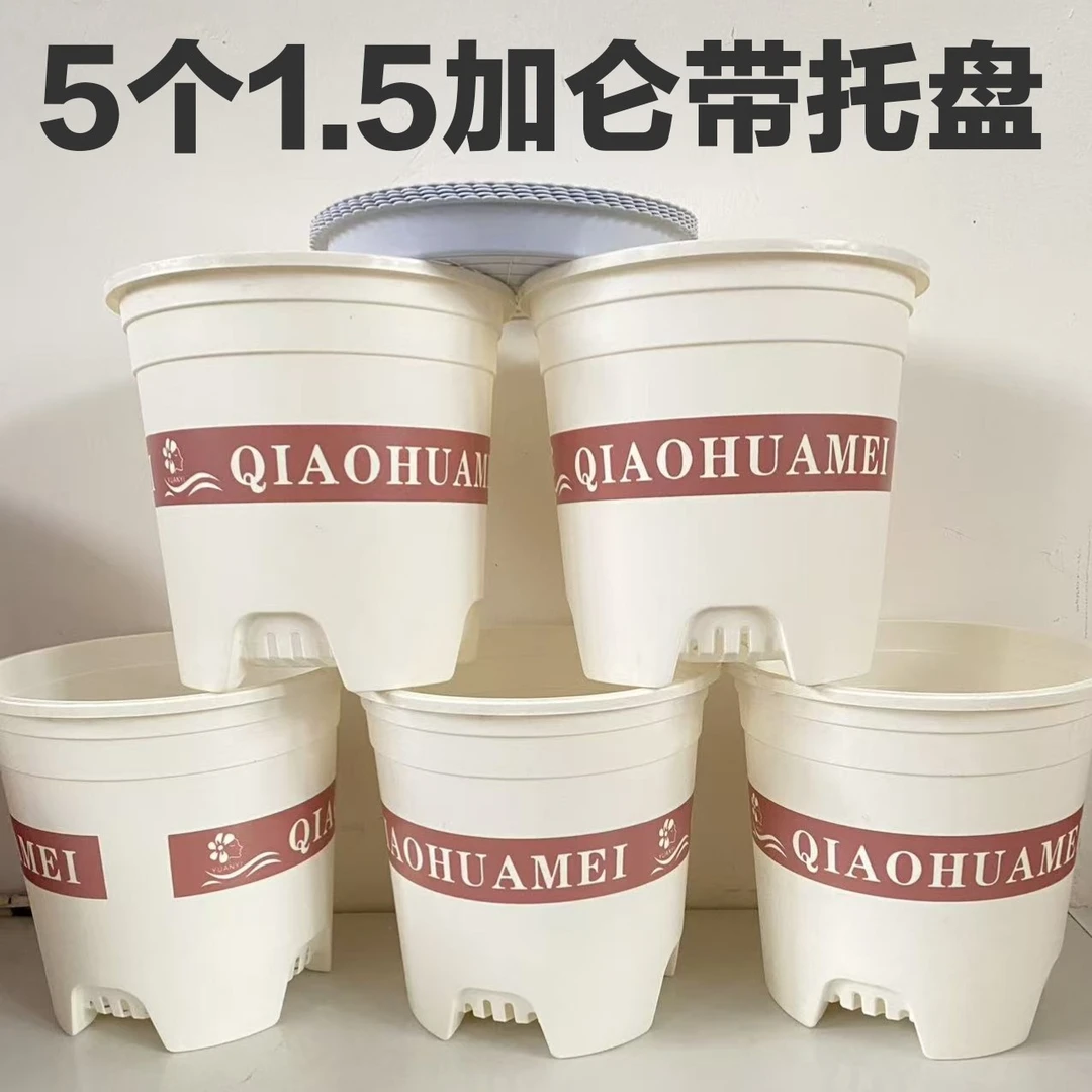米白色【5个带托盘】1.5加仑高款控根花盆（外口径19左右高18.3左右）