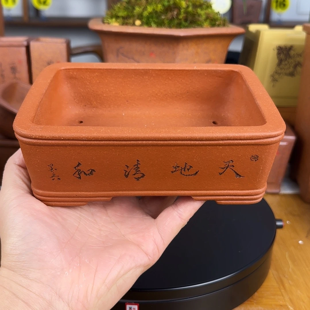 紫砂花盆阿****6紫砂花盆