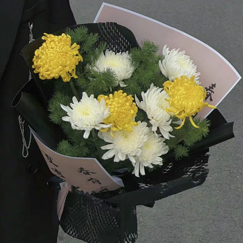 9朵黄白菊蓬莱松清明节鲜花花束同城配送