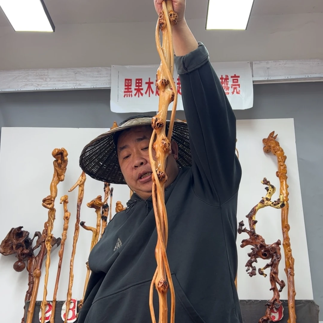 黑果木其他镔***堂黑果木193