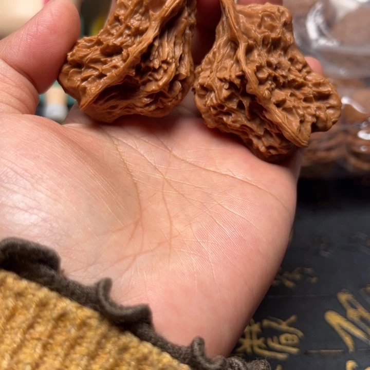 帽子小鸟已经打底