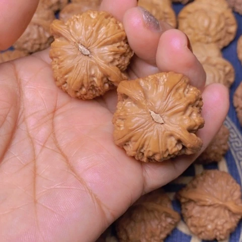 【闪购商品】文玩核桃吊坠用****吃白狮子37