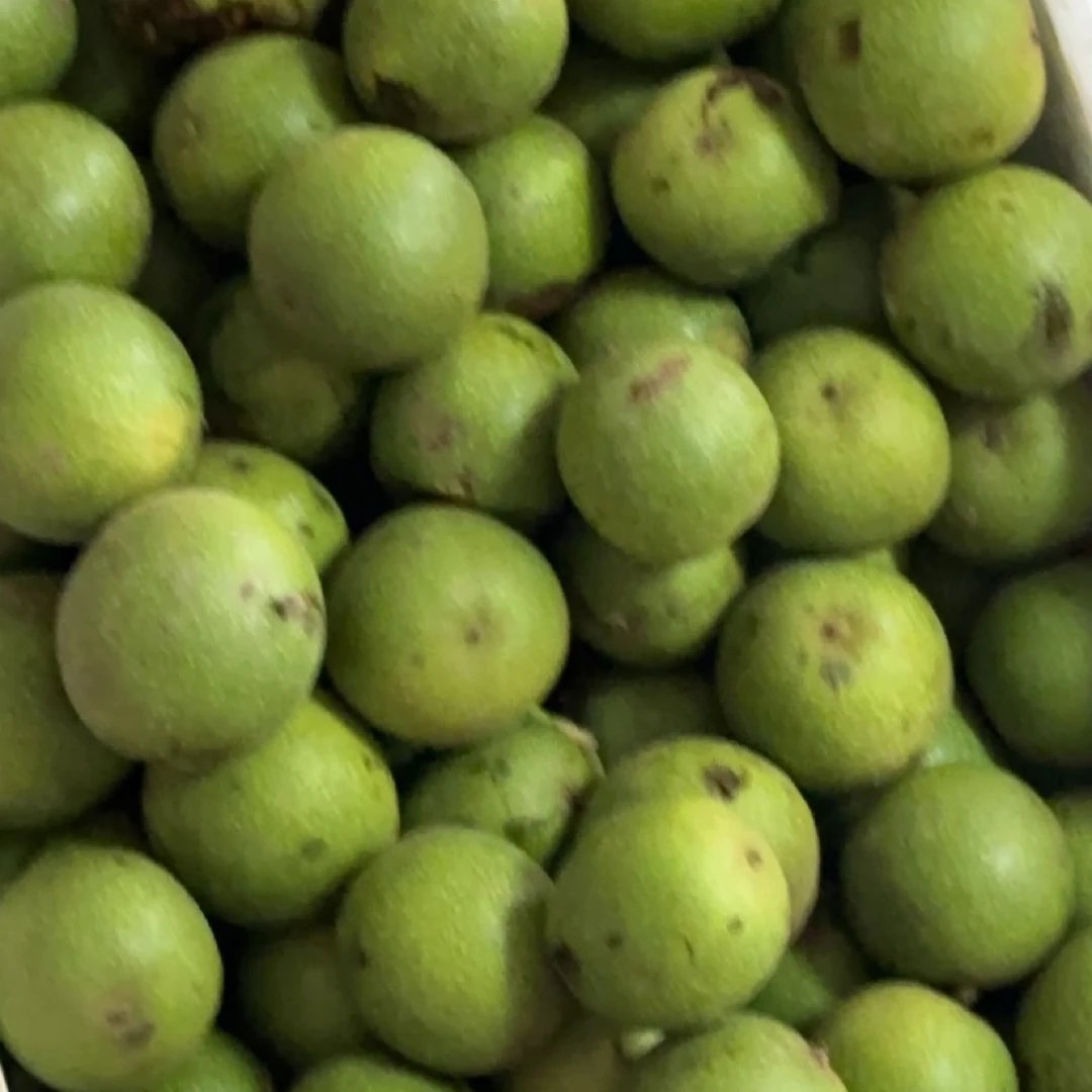 麻核桃盘山青皮随机售后不退不换