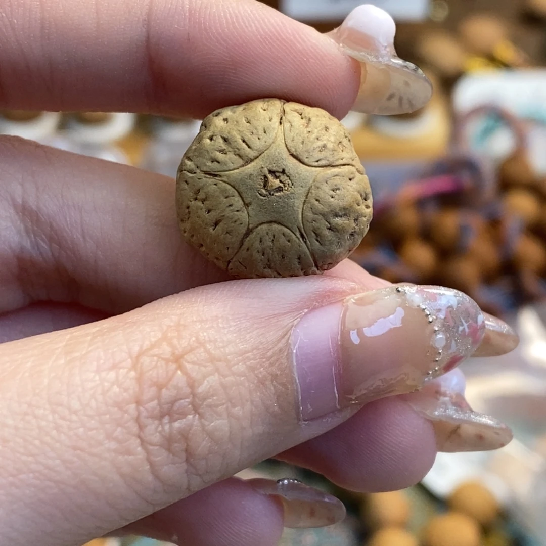 吊坠凤眼菩提五星