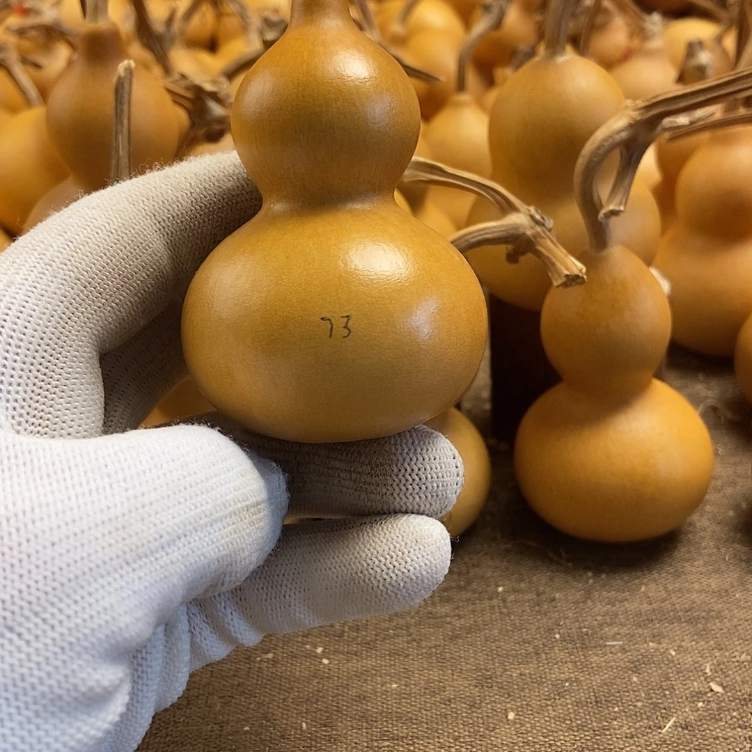 文玩葫芦 完美主义者 慎拍73