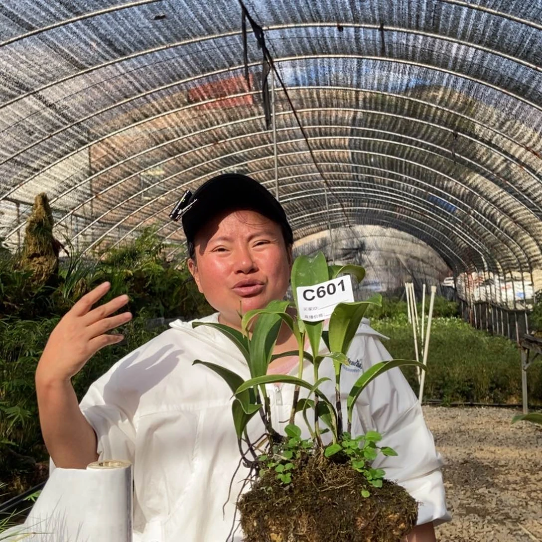 人***）无花朵1111111111111111