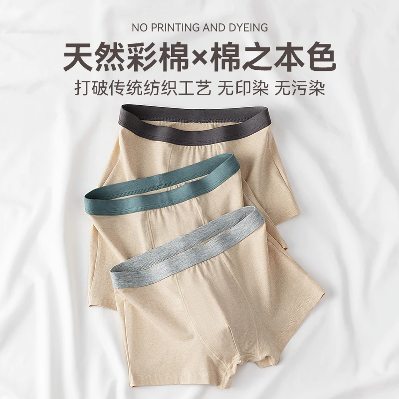 【整条7A级抗菌】男士内裤没染色彩棉男生夏季透气平角裤中腰四角裤