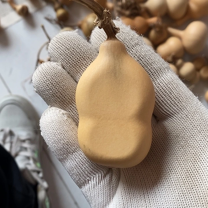 J****天然植物葫芦夹扁有色差