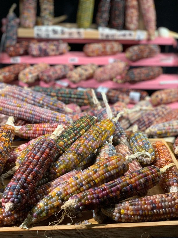 文玩玉米工艺品摆件（盒子）