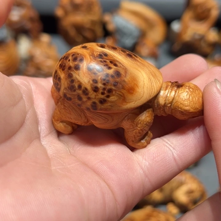 柏木（崖柏）点点关注感谢