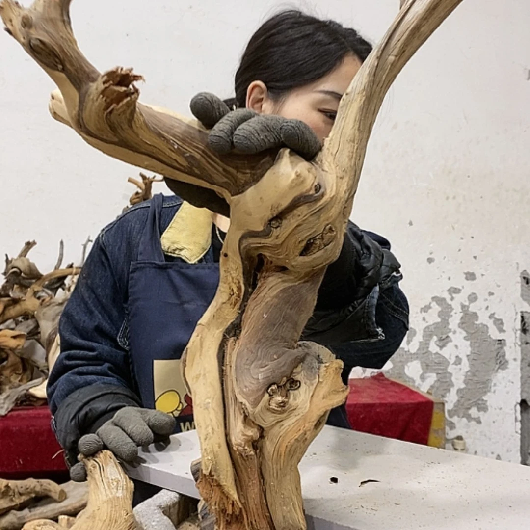 【闪购商品】柏木龍***工我们都是好孩子