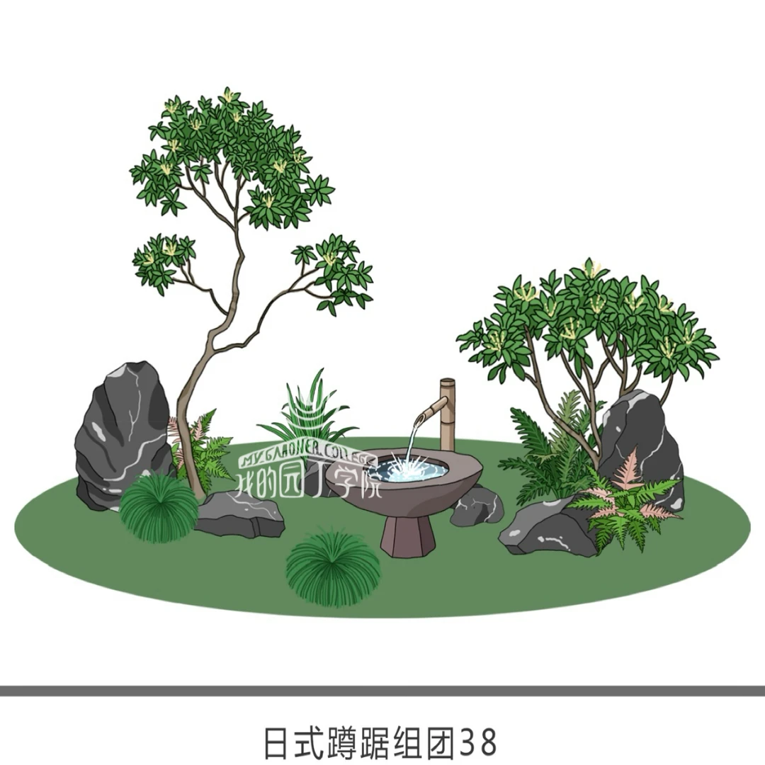 日式蹲踞庭院花镜设计定制植物组合耐高温造景美化