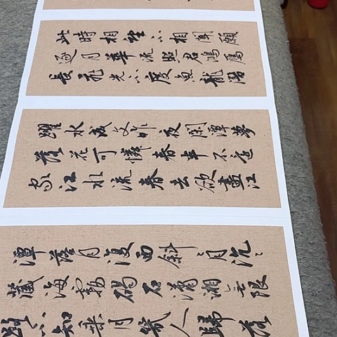 扇子好***A春江花月夜行书册页作品