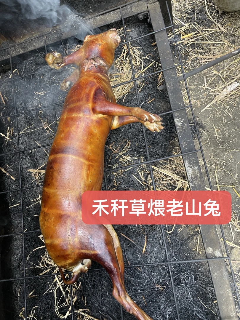 清远禾秆草煨四年老山兔 当天煨好当天发  顺丰冷链