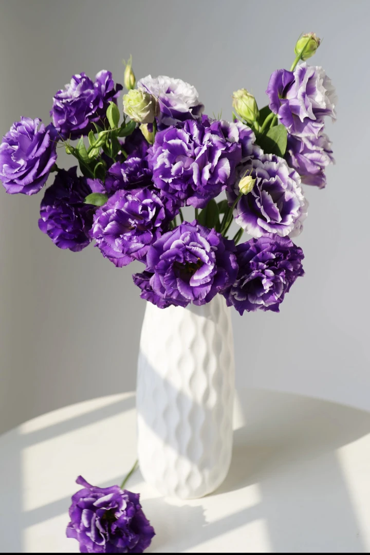 【花沫儿 大雪边洋桔梗链接】云南产地直发 | 新鲜采摘