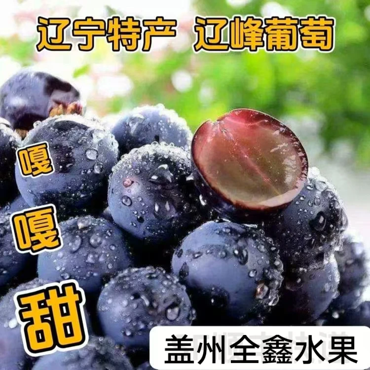 【辽宁特产辽峰葡萄】净重2斤3斤4斤(剪粒包装发货)
